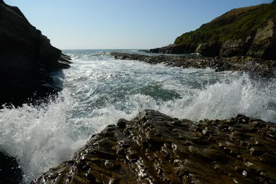 DSC_2691 (Large).JPG